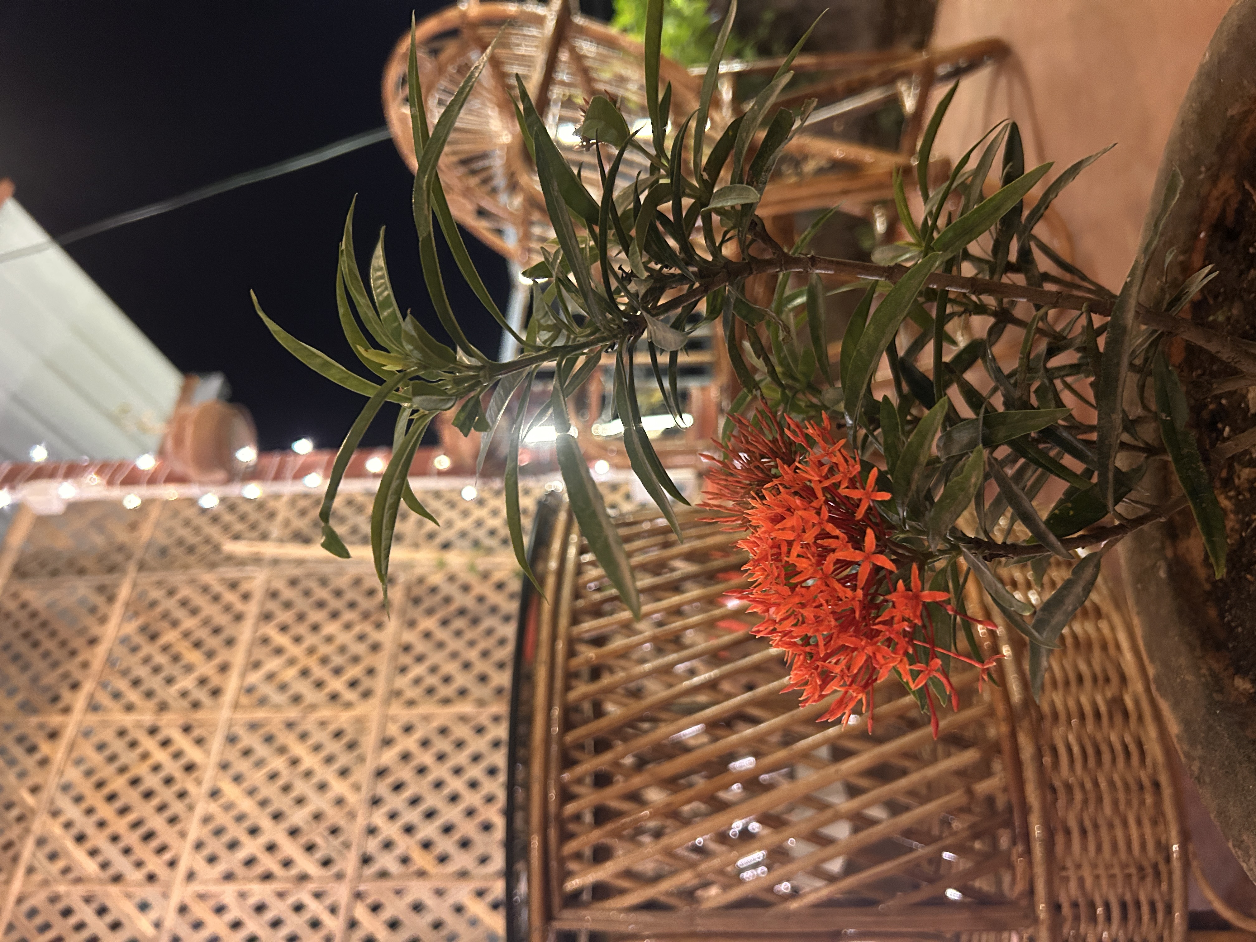 SERKYEM café interior